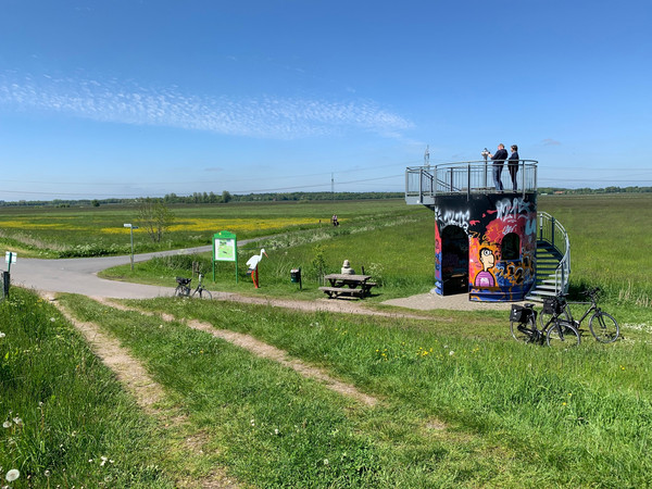 Aussichtsturm Nortmoorer Hammrich